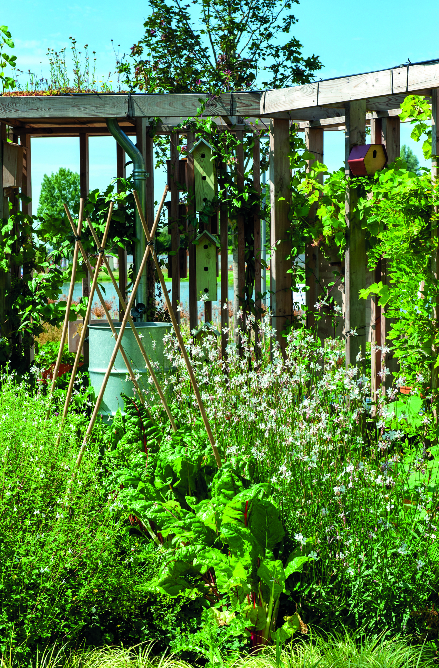 The Green City tuinbranche